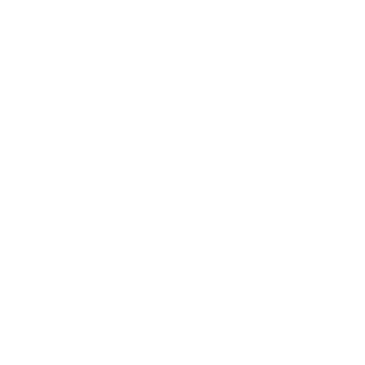 svg icon